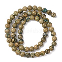 Натуральные зеленые бусины с прожилками дракона&nbsp;G-D098-A01-6mm