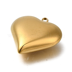 Pendentifs en acier inoxydable 304 avec placage ionique (IP)&nbsp;X-STAS-H225-02D-G