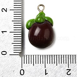 Латунные подвески из акрила OACR-R006-01G-12