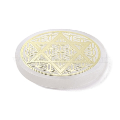 Плоские круглые подставки для ломтиков из натурального селенита DJEW-C015-02I