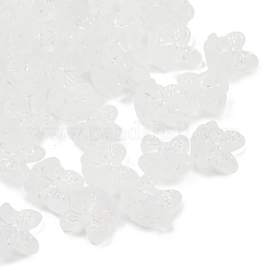 Матовые прозрачные акриловые бусины&nbsp;X1-OACR-P029-18B-05