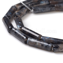 Натуральные нити бус из ларвикита G-F247-23