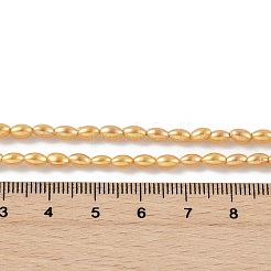 Гальванические оболочки жемчужные бусы пряди BSHE-Z009-10B-01