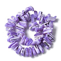 Окрашенные нити натуральных бусин-ракушек трохуса SSHEL-C013-09N