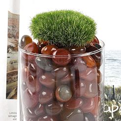 Окрашенные и нагретые натуральные бусины из агата G-J402-02A-01