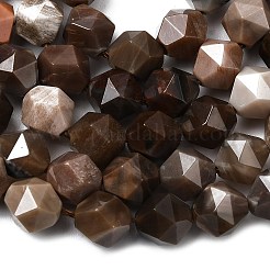 Природные окаменелое дерево бисер пряди&nbsp;G-Z119-A21-02