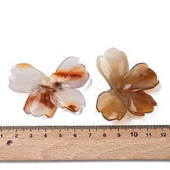 Резные бусины из натурального красного агата&nbsp;G-L650-O01-01