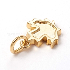 Осенняя тема латунные подвески&nbsp;KK-I668-23