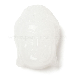 Стеклянные подвески GLAA-C033-02