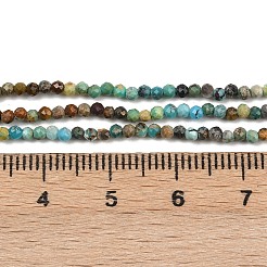 Бусины из натуральной бирюзы  G-K366-B03-02