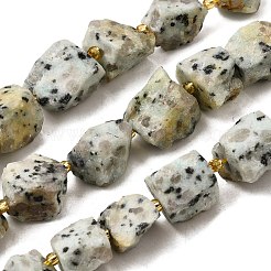 Необработанные грубые натуральные нити из яшмы G-Z087-B03