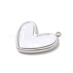 Подвески из нержавеющей стали 304 из смолы&nbsp;STAS-B113-06P