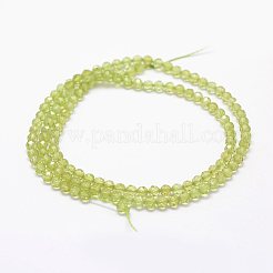 Perline peridoto naturale fili&nbsp;LS-G-F460-52