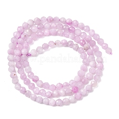 Природные кунцит бисер нитей&nbsp;G-G259-D11-3mm-01