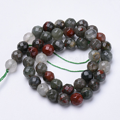 Naturali africane perline Bloodstone fili&nbsp;G-S281-21-10mm