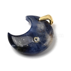 Подвески из смешанных драгоценных камней из натуральных и синтетических драгоценных камней&nbsp;G-A297-02G