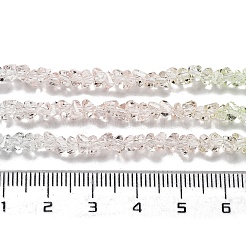 Прозрачные стеклянные бусины GLAA-H023-03P