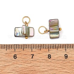 AB-Farbe&nbsp;PALLOY-JF05877