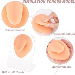 Мягкий силиконовый язычок гибкая модель дисплея части тела с акриловыми подставками&nbsp;ODIS-WH0002-23