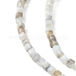 Botswana agata naturale perline fili&nbsp;G-F748-C01