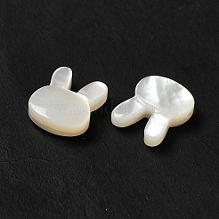 Shell perle bianche naturali&nbsp;BSHE-E026-05