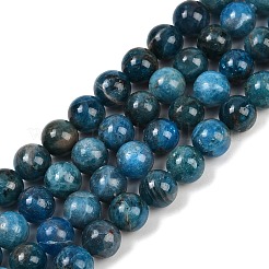 Природного апатита нитей бисера G-I254-08D