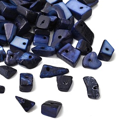 Крашеные натуральные пресноводные ракушки&nbsp;X-SHEL-O001-12C