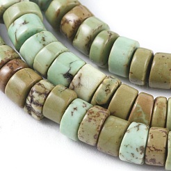 Природные Говлит бисер нитей X-TURQ-L030-04A-02