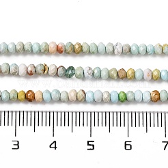 Природные Говлит бисер нитей G-H025-03B-06