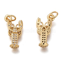 Латунные микропаве прозрачные подвески с фианитом ZIRC-B002-49