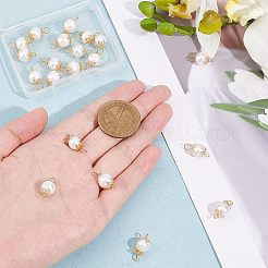 天然養殖淡水真珠ビーズコネクターチャーム20個  金色の304ステンレススチール製金具付き  オーバル  貝殻色  17.5x9mm  穴：1.8~3.5mm&nbsp;FIND-NB0002-30