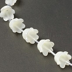 Натуральная оболочка из трохида BSHE-B005-03