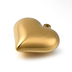 Placcatura ionica (ip) ciondoli in acciaio inossidabile 304&nbsp;STAS-H225-02C-G