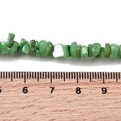 Бусины из натуральных пресноводных ракушек SHEL-B003-01E