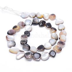 Натуральные морские раковины из бисера пряди SSHEL-S251-02