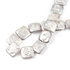 Покрытие нитей из натуральных пресноводных ракушек SHEL-N026-230B