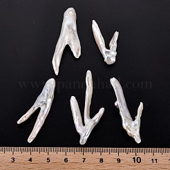 Натуральный кеши жемчуг бисер PEAR-N020-P01