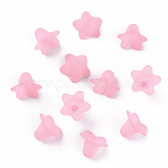 Прозрачные акриловые бусины&nbsp;PLF018-02