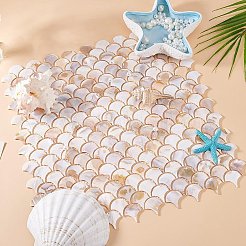 2 шт. листы кабошонов из ракушек&nbsp;AJEW-GO0002-11