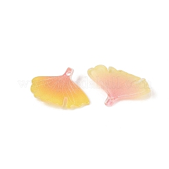 Pendentifs en acrylique thermorétractable&nbsp;OACR-N164-09