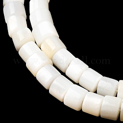 Нити бусин из натуральных пресноводных ракушек SHEL-K006-07