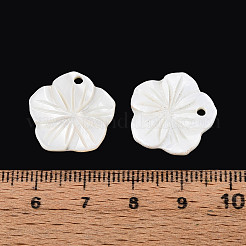 Резные подвески из натуральных пресноводных ракушек SHEL-N038-13