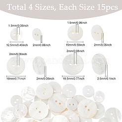 60 шт. 4 стиля пуговиц-ракушек&nbsp;BUTT-SP0001-17