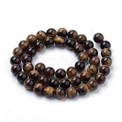 Chapelets de perles d'œil de tigre naturel&nbsp;G-S259-21-12mm