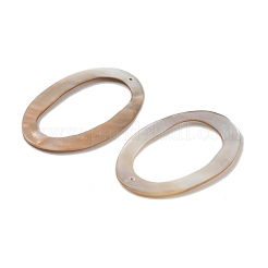 Естественных пресноводных оболочки большие кулоны SHEL-K006-62