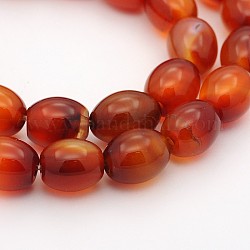 Ovales naturelles perles de cornaline brins, teints et chauffée, 11x9mm, Trou: 1mm, Environ 37 pcs/chapelet, 15.5 pouce