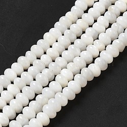 Natural Freshwater Shell Beads Strands, Rondelle, Seashell Color, 6x4mm, Hole: 0.9mm, about 97pcs/strand, 15.31~15.39''(38.9~39.1cm)