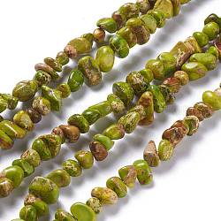 Brins de perles de jaspe impérial naturel, teinte, puces, kaki foncé, 6~10x5~8x4~6mm, Trou: 1.2mm, Environ 79 pcs/chapelet, 15.75 pouce (40 cm)