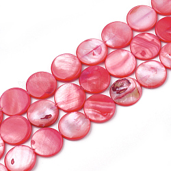Perles de coquille d'eau douce, teinte, plat rond, cramoisi, 15x2.5~4mm, Trou: 0.7mm, Environ 26 pcs/chapelet, 14.9 pouce
