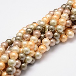 Shell-Perle Perle Stränge, Klasse A, Runde, Mischfarbe, 8 mm, Bohrung: 1 mm, ca. 49~52 Stk. / Strang, 16 Zoll